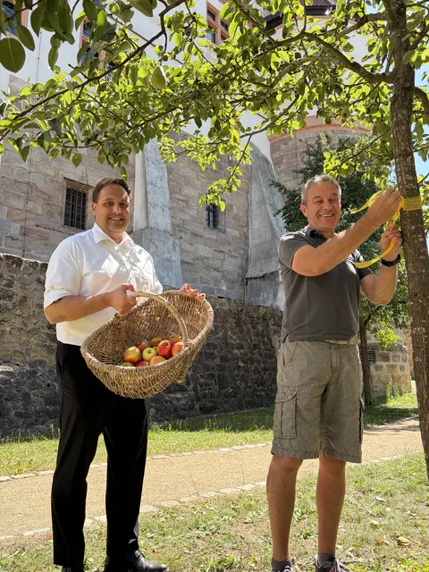 Bis Ende August werden die Obstbäume auf städtischen Flächen wieder mit einem gelben Band bestückt, wie hier im Schlossgraben von Stadtgärtner Horst Hirschl in Begleitung des Ersten Bürgermeisters Andreas Buckreus.  | Foto: Stadt Roth