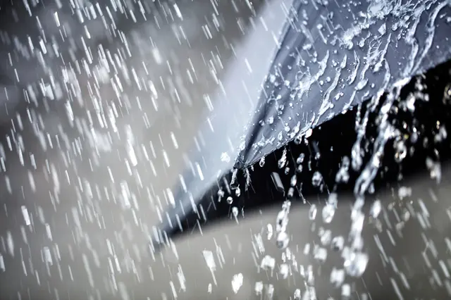 Foto: © Brian Jackson/AdobeStock (Symbolbild)