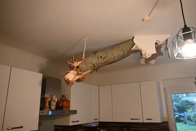 Hier krachte ein Baum durch ein Dach - verletzt wurde niemand. | Foto: Sappeck/BLP/dpa