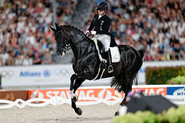 Isabell Werth verteidigt den Pferdesport gegen Kritiker.  | Foto: Uwe Anspach/dpa (Archivbild)