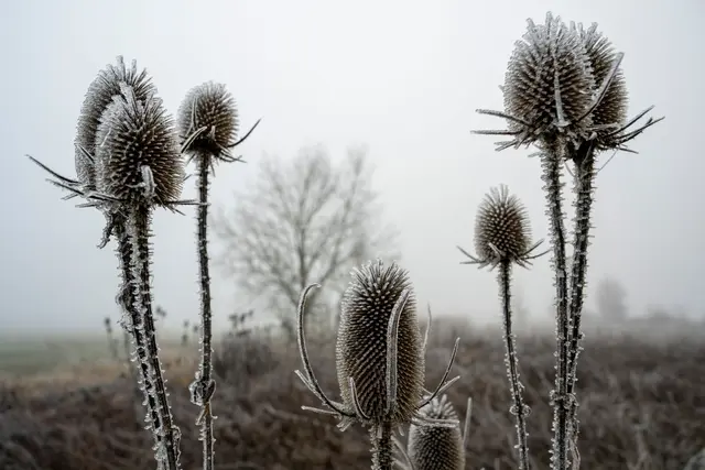Foto: © Stefan Puchner/dpa (Symbolbild)