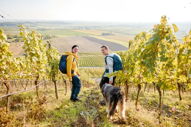 Wandern im Weinparadies Franken.  | Foto: VGN / Gaspar-Klein