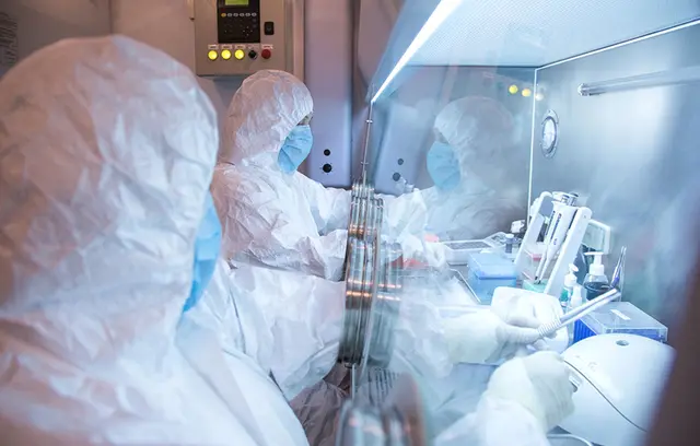 Foto: © Uncredited/The Irkutsk Anti-Plague Research Institute of Siberia and Far East/AP/dpa (Archivbild)
