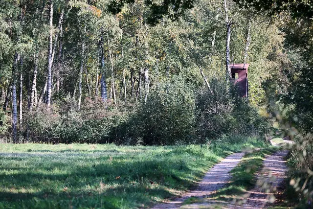 Die mutmaßliche Raubkatze wurde laut Landratsamt im Notzingermoos in der Nähe des Münchner Flughafens gesehen. | Foto: Peter Kneffel/dpa