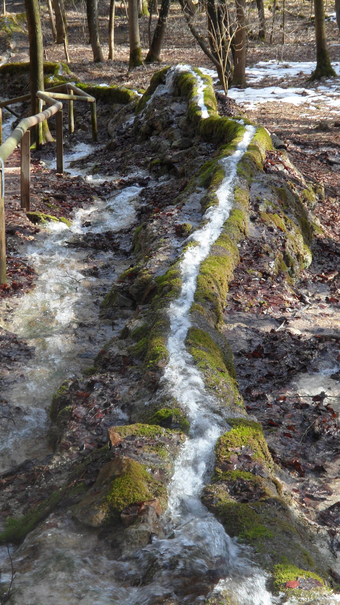 Wanderung Zu den Naturdenkmälern Steinerne Rinne und Hoher Brunnen bei ...
