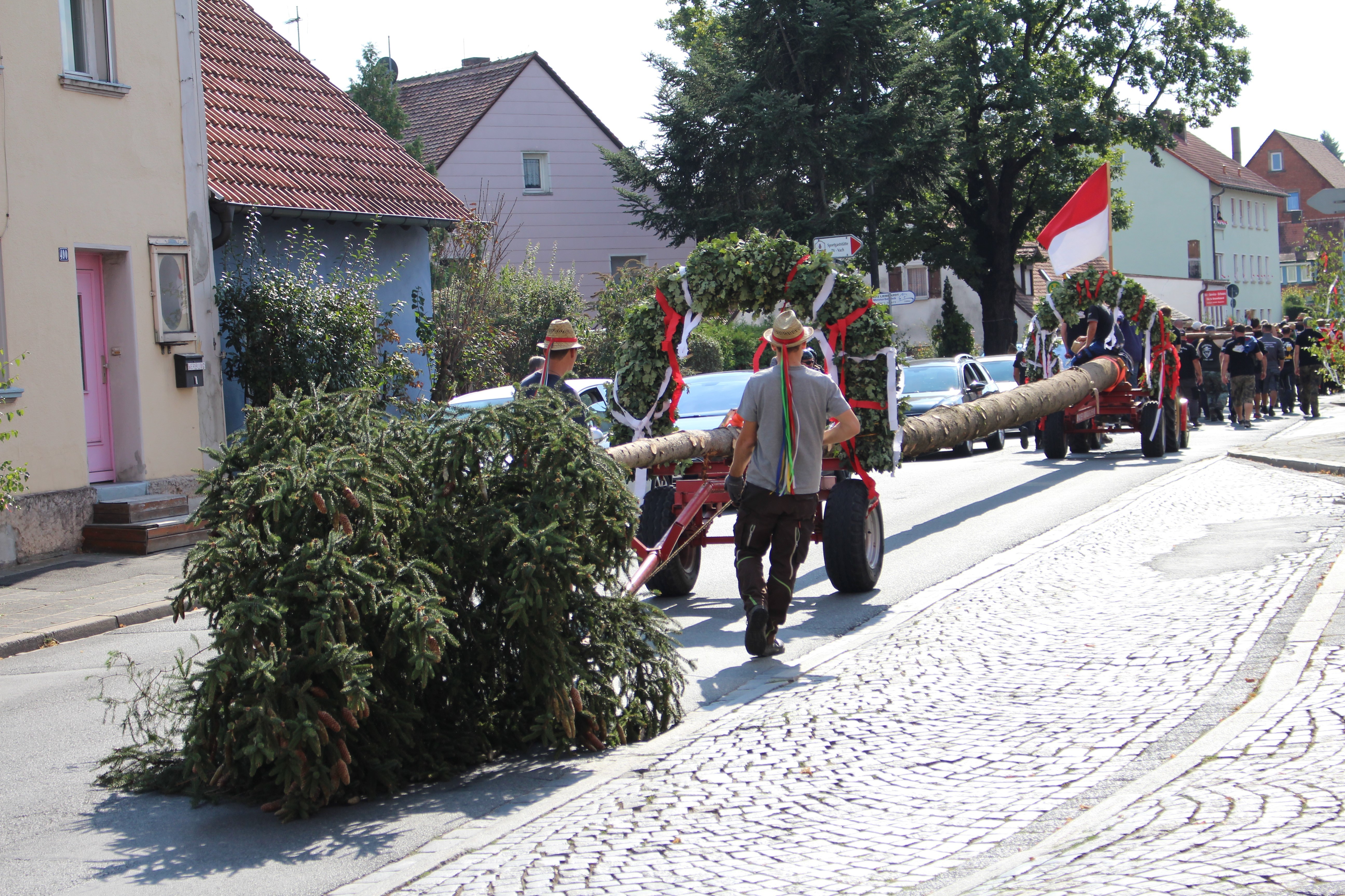 Der Vacher Kirchweihbaum 2018 hat eine Länge von beachtlichen 31 Metern - http://www.kirchevach.de