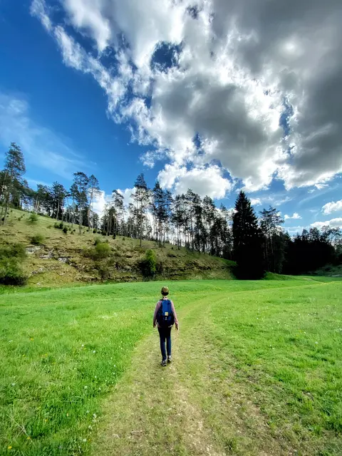 Wandern im Trockental. Die Quelle der Leinleiter ist hier zu finden - zwischen Laibarös und der Heroldsmühle. Bekannt sind die  sogenannten Tümmler: Im ausgehenden Winter entwickelt sich das nur wenige Meter breite Bachbrett zu einem sprudelnden Quell frischen Wassers. Schmelz- oder Regenwasser sickert durch das Karstgestein, sammelt sich unterirdisch und donnert mit Macht und Getöse aus einer höher gelegenen Felsöffnung hervor. Die sogenannten „Tummler“ haben es in sich und sind definitiv ein Besuch wert. 
Markt Heiligenstadt | Foto: Nicole Fuchsbauer