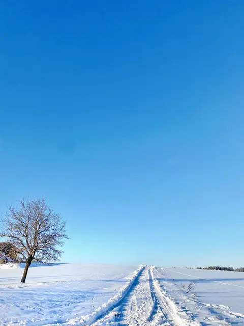 Im Januar 2026 zeigt sich der Winter von seiner schönsten und mit viel Schnee und Glatteis von seiner unangenehmen Seite.  | Foto: Nicole Fuchsbauer