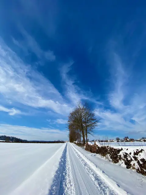 Der Wintereinbruch in ganz Deutschland brachte Chaos auf die Straßen. Doch manchmal zeigt sich auch eine andere Seite der Jahreszeit: Strahlender Sonnenschein, blauer Himmel und Schnee soweit das Auge reicht!  | Foto: Nicole Fuchsbauer