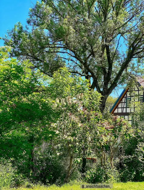 Auszug aus: Der Juni von Erich Kästner (1955)-

Die Zeit geht mit der Zeit: Sie fliegt.
Kaum schrieb man sechs Gedichte,
ist schon ein halbes Jahr herum
und fühlt sich als Geschichte... | Foto: Nicole Fuchsbauer